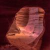 Canyon X