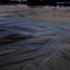The Sharks' Teeth in HDR