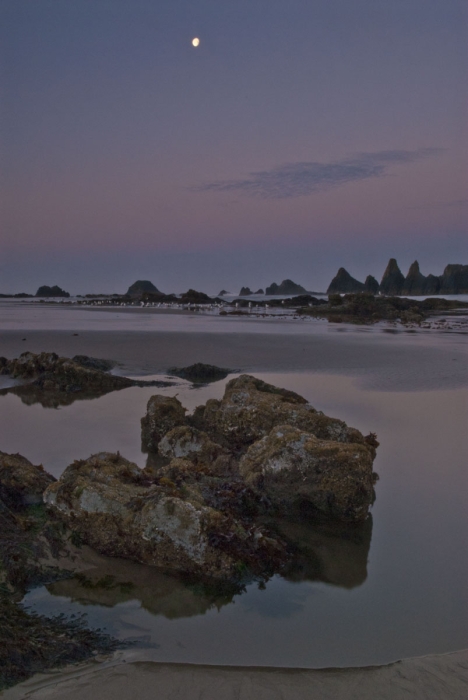 Moon Over The Sharks' Teeth