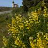 Coquille Lighthouse