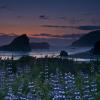 Evening Magic