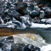 Golden Stream +