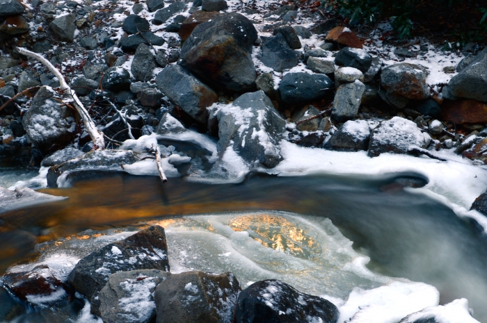 Golden Stream +