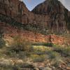 Late Afternoon on The Virgin River           