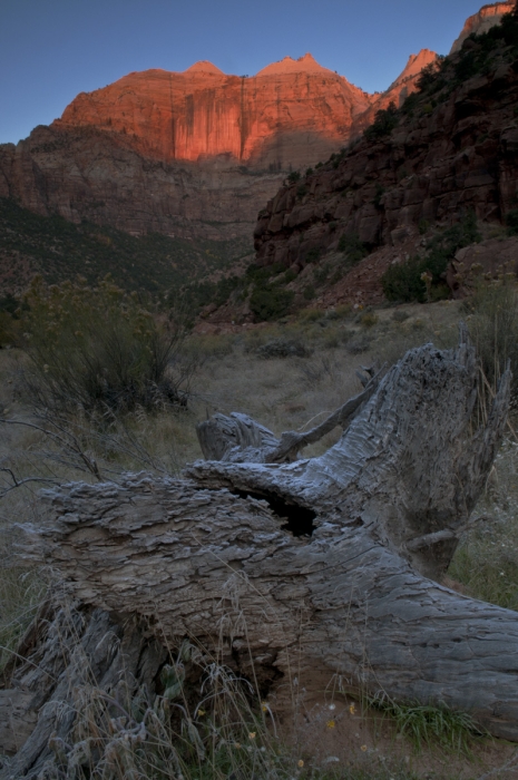 Sunrise on The Pine            