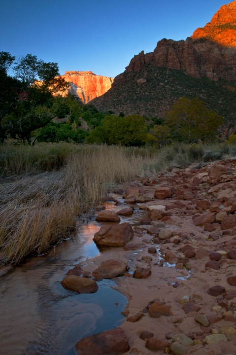 Zion Sunrise           