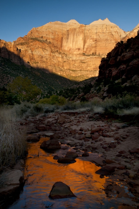 Beehive Reflections           