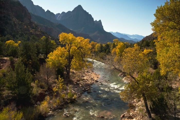 Virgin Wilderness          