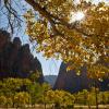 Sunstar in Zion           