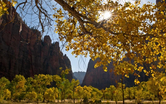 Sunstar in Zion           