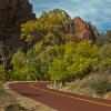 The Red Asphalt Road