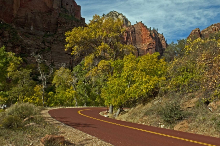 The Red Asphalt Road