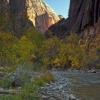Fall on The Virgin River   
