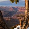 The Colorado River