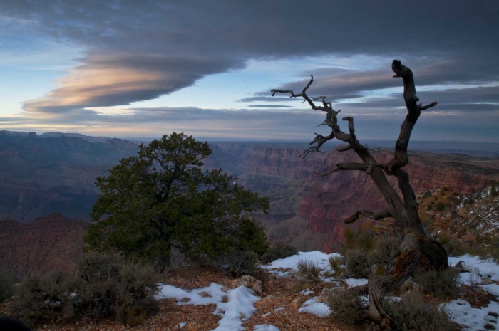 Near Desert View Tower +