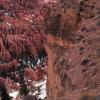 Bryce Point