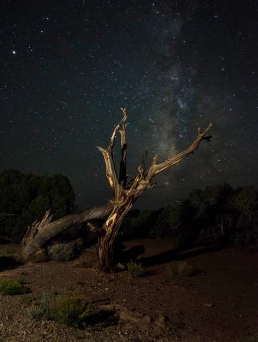 Dead Horse State Park, Utah