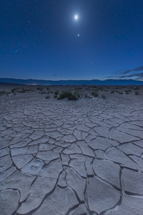 Midnight Mud