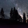 "Reaching for the Stars"