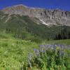 Gothic Mountain