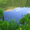 Crystal Clear