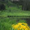 Washington Gulch