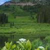 Washington Gulch Reflections