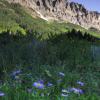 Gothic Mountain