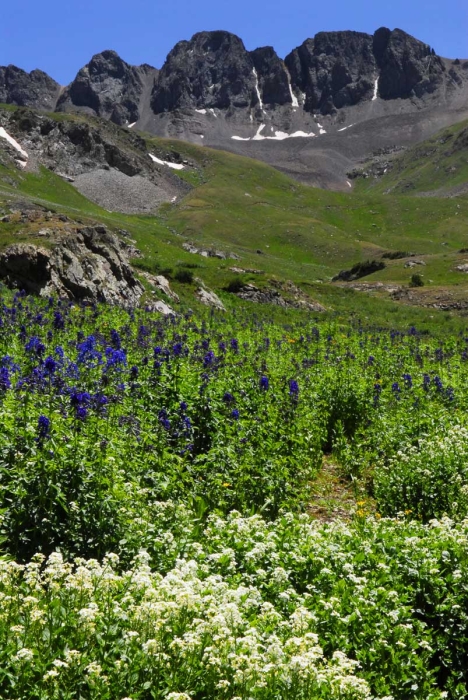 Rugged American Peak +