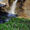 Porphyry Basin