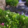 Porphyry Basin