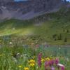 Silver Basin