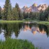 Schwabacher Morning
