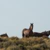 On the Ridge